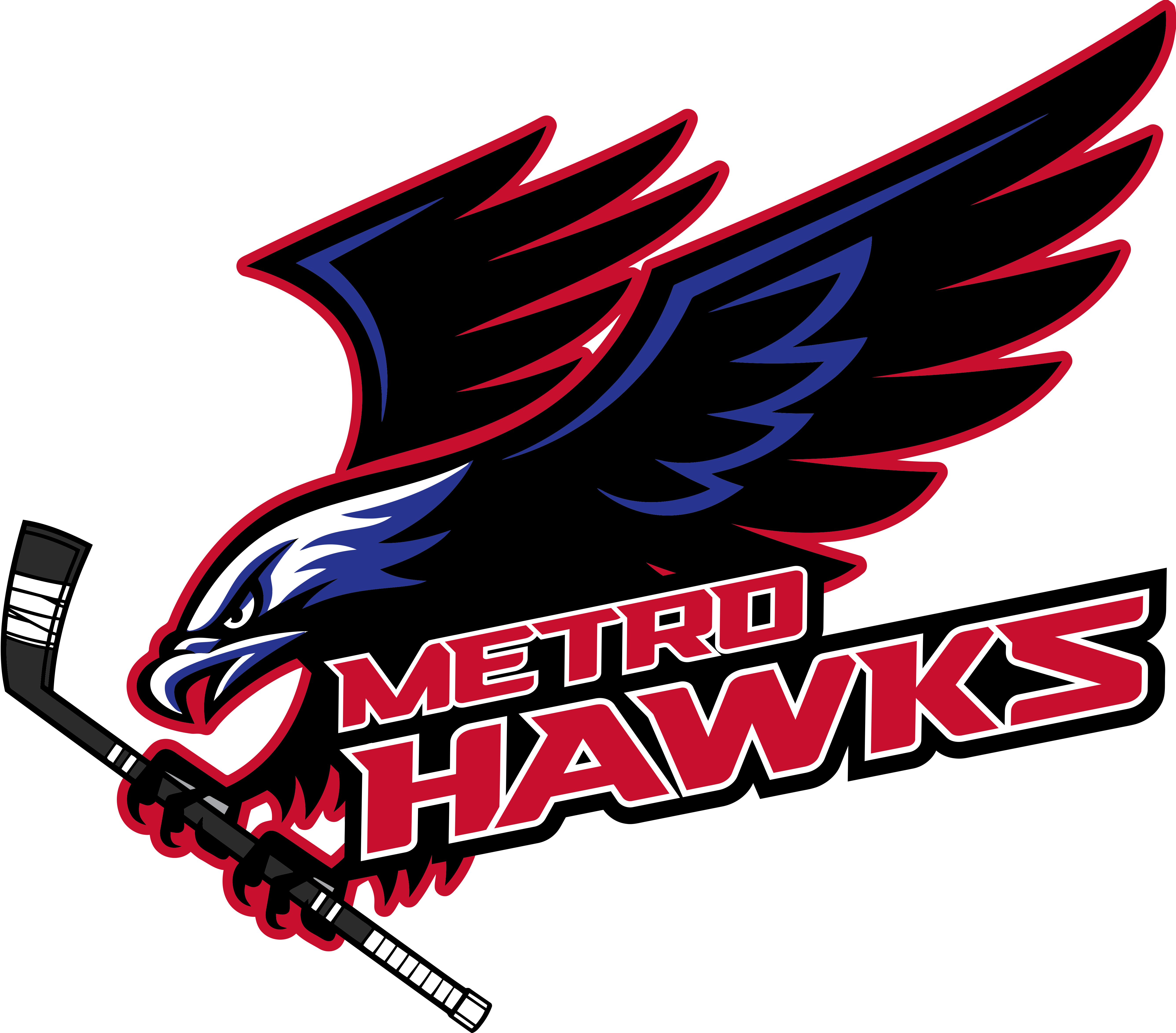 METRO HAWKS PACIFIC U15-4 | METRO VANCOUVER & FRASER VALLEY LEAGUE