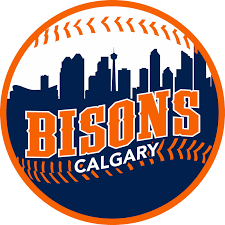 CALGARY BISONS 15U AA