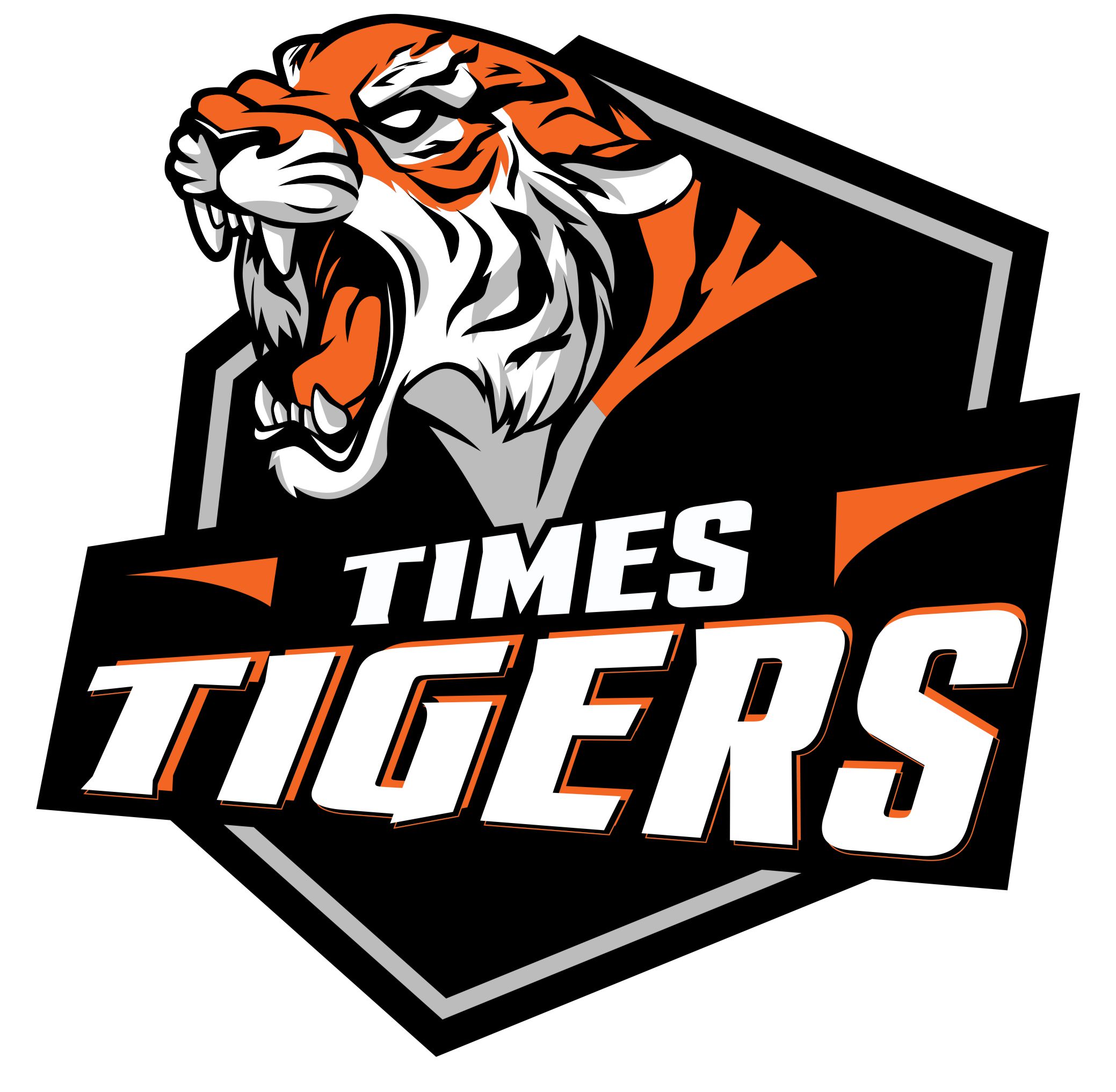 FFMHA TIMES TIGERS - U13 - A - MIXED - FORT FRANCES MINOR HOCKEY ASSOCIATION